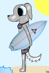 Nixie the Surfer dog