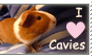 I Love Cavies Stamp