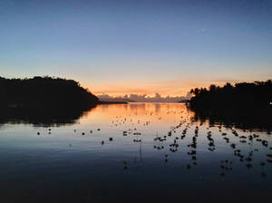 Sunrise at Port