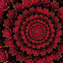 Swirling Roses of Julian