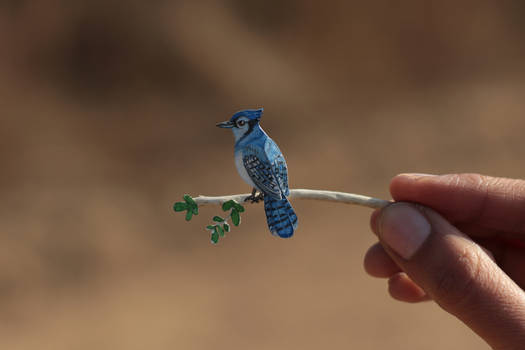 BLUE JAY - Paper cut birds