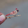 Northern Cardinal Female - Paper cut birds