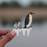 King penguin - Paper cut birds