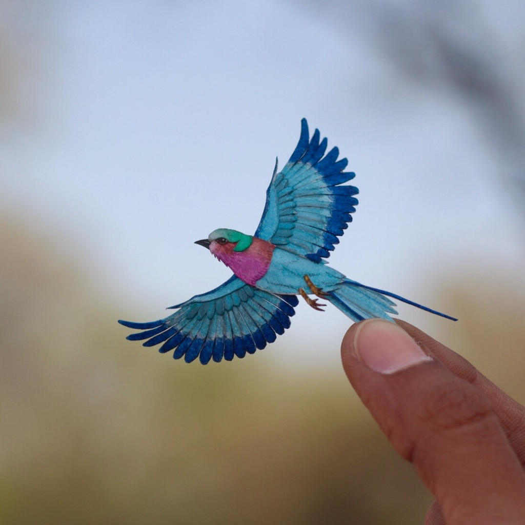 Lilac-breasted roller- Paper cut birds