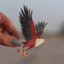 African fish eagle- Paper cut birds