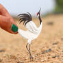 Red-crowned Crane- Paper cut birds