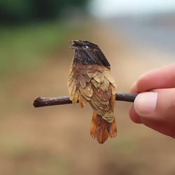 Dulit Frogmouth Bird - Miniature art