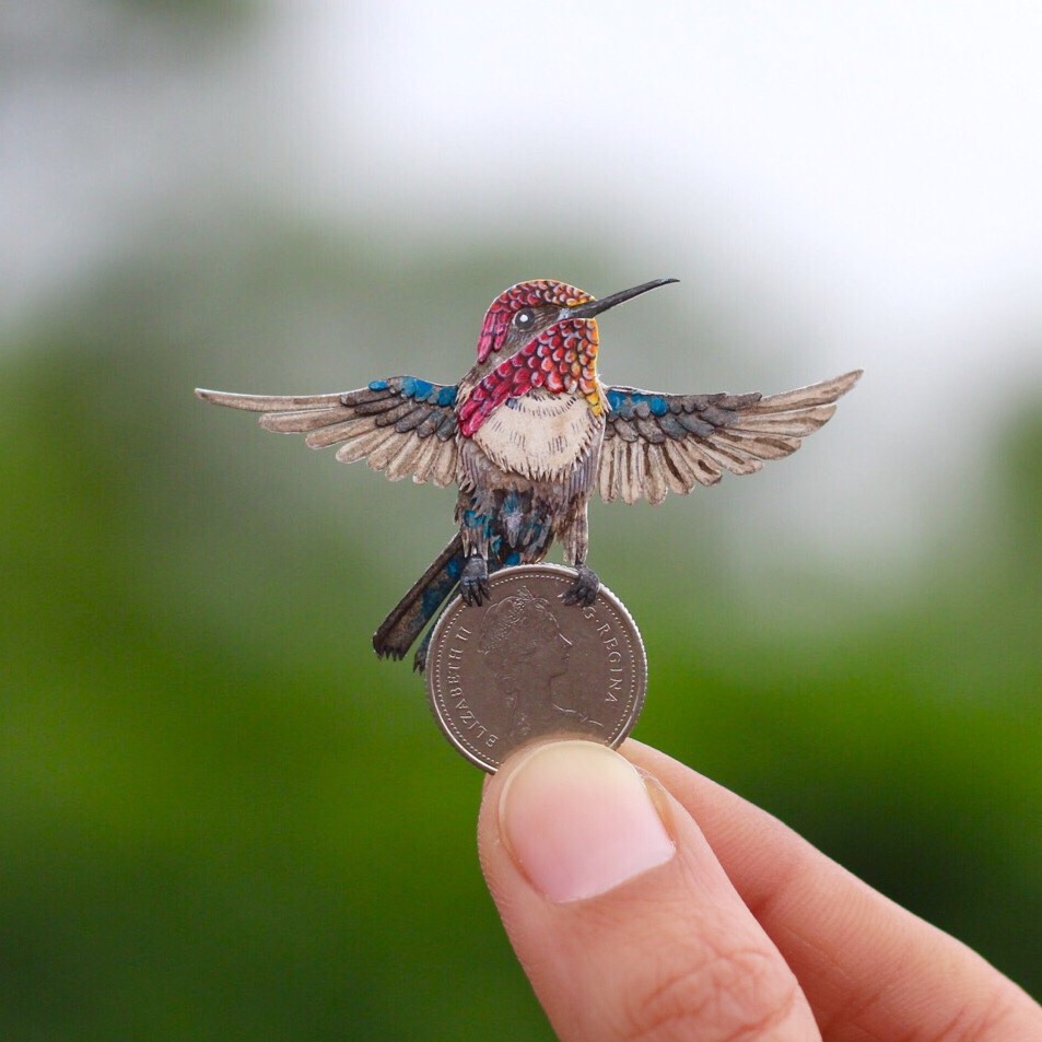 Bee Hummingbird - Paper cut birds by NVillustration