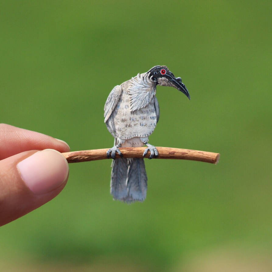 Noisy Friarbird - Paper cut birds by NVillustration