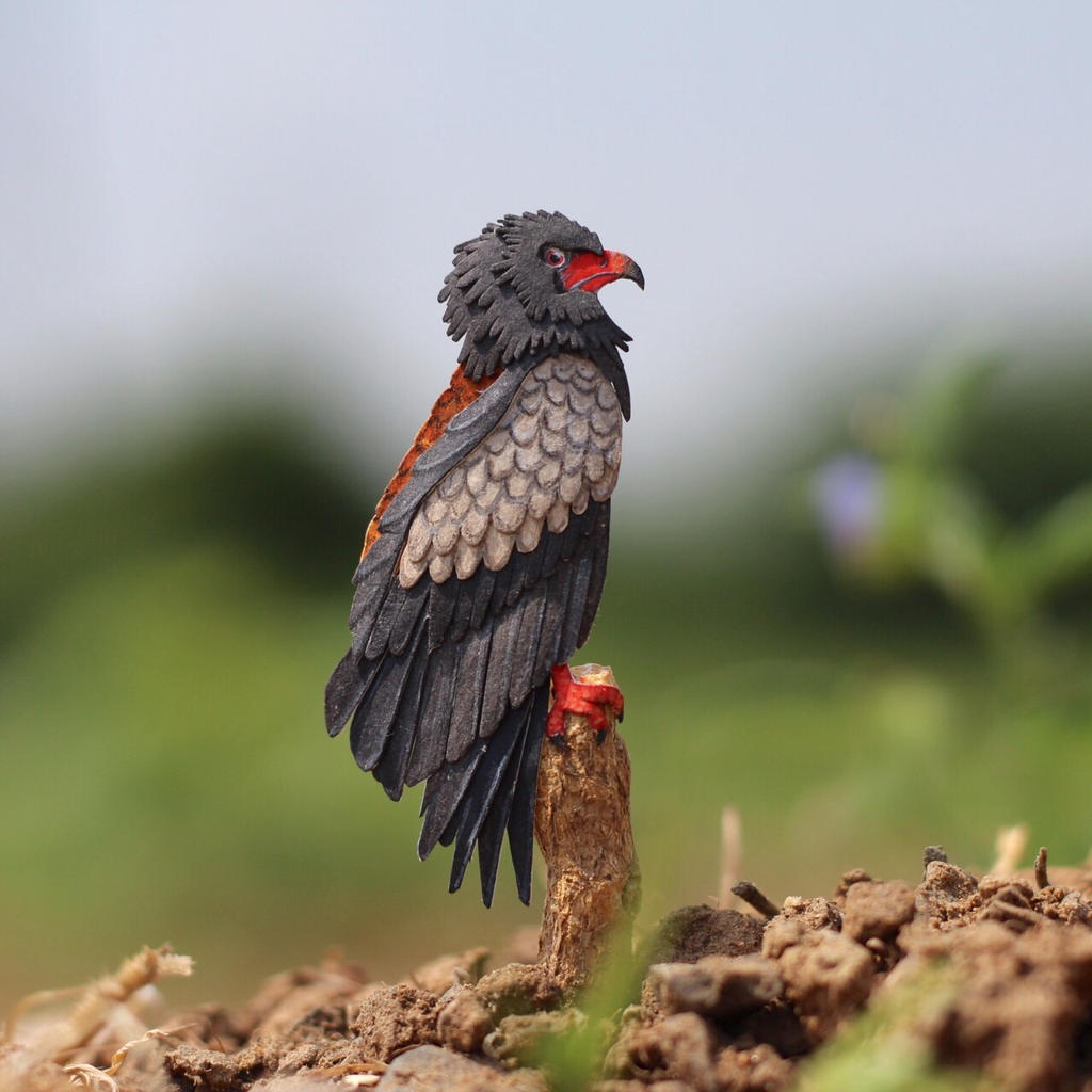 Bateleur - Paper cut birds by NVillustration