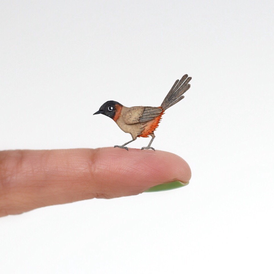Rufous-necked Laughingthrush - Paper cut birds by NVillustration