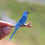 Spix's Macaw - Paper cut birds