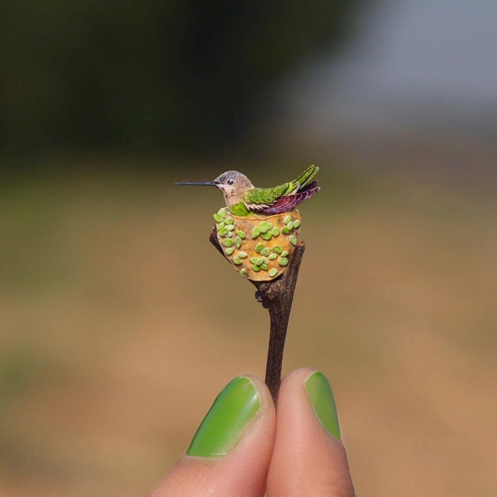 Anna's Hummingbird - Paper cut birds by NVillustration