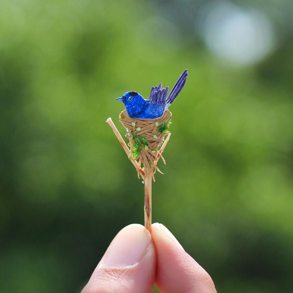 Black-naped Monarch - Paper cut birds by NVillustration