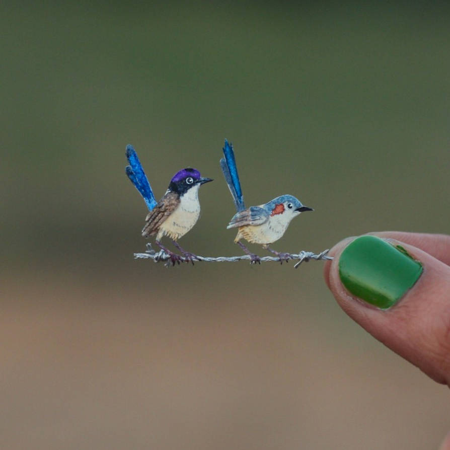 Purple-crowned Fairywren - Paper cut birds by NVillustration