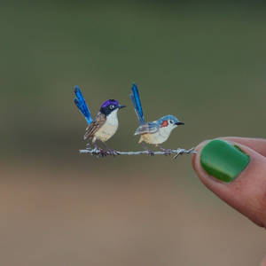 Purple-crowned Fairywren - Paper cut birds