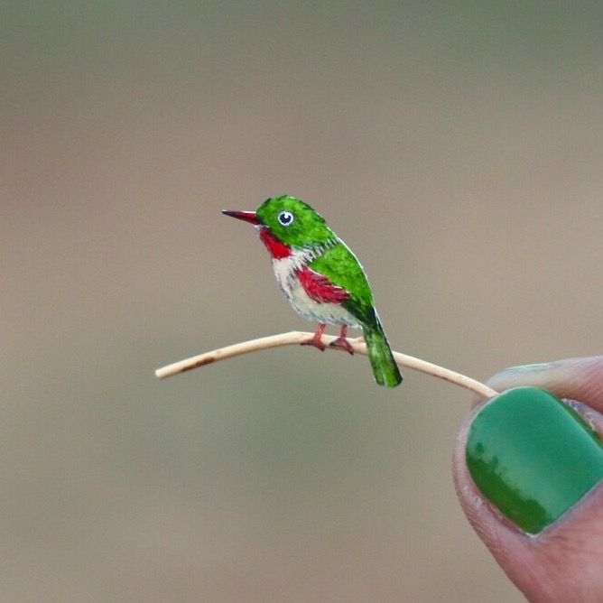 Cuban Tody - Paper cut birds by NVillustration