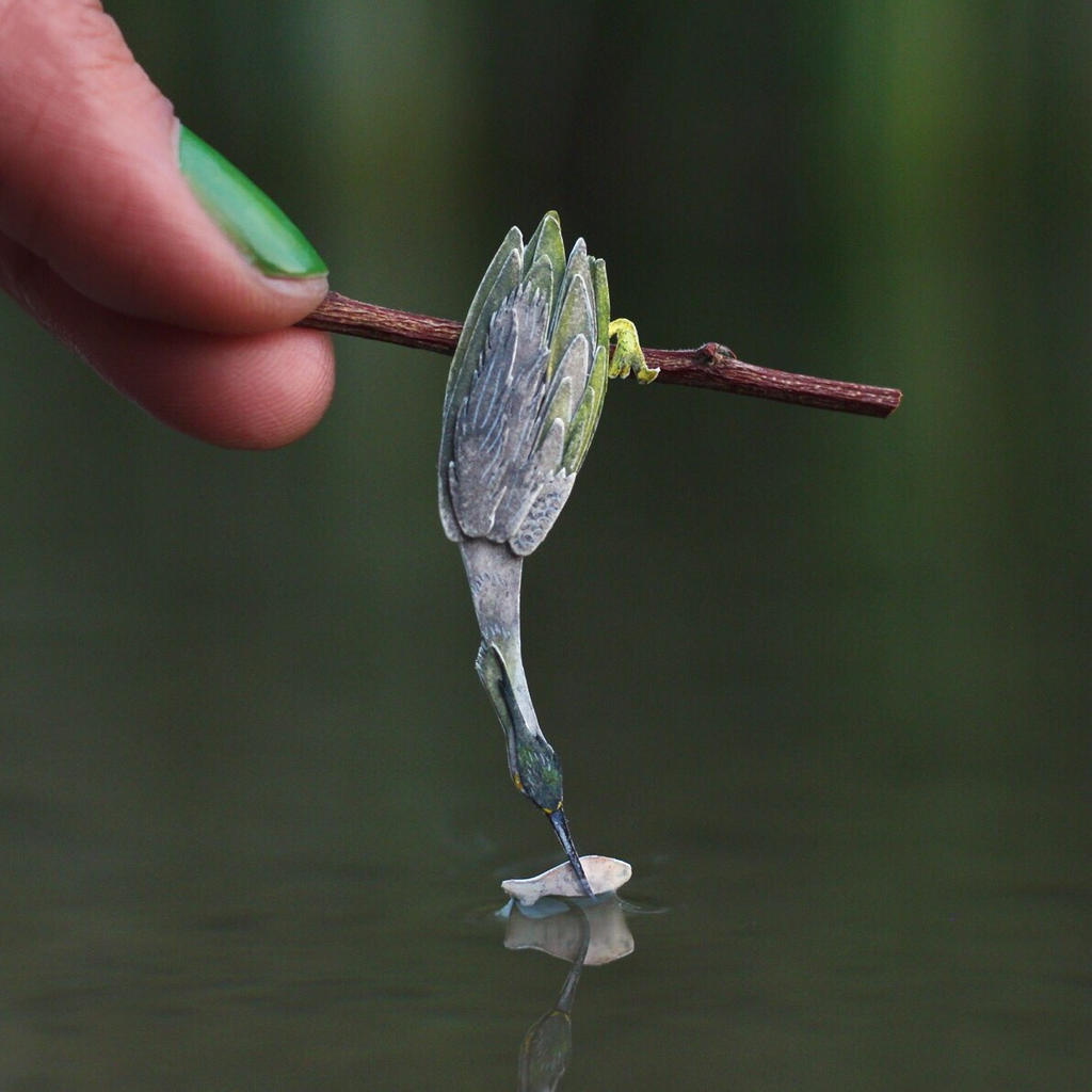Green Heron - Paper cut birds by NVillustration