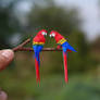 Scarlet Macaw- Paper cut birds