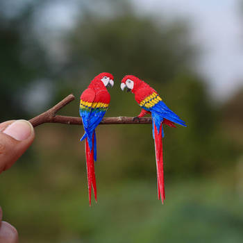 Scarlet Macaw- Paper cut birds