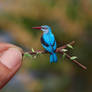 Woodland Kingfisher - Paper cut birds