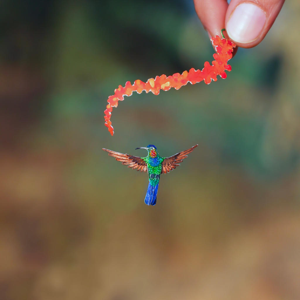 Fiery-throated Hummingbird- Paper cut birds by NVillustration