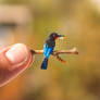 Black Bee-eater - Paper cut birds