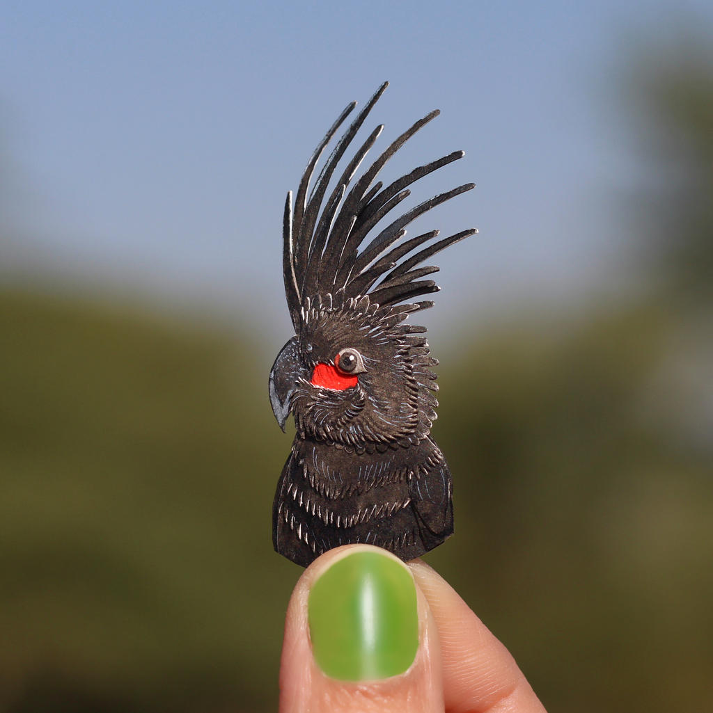 Palm Cockatoo - Paper cut birds by NVillustration