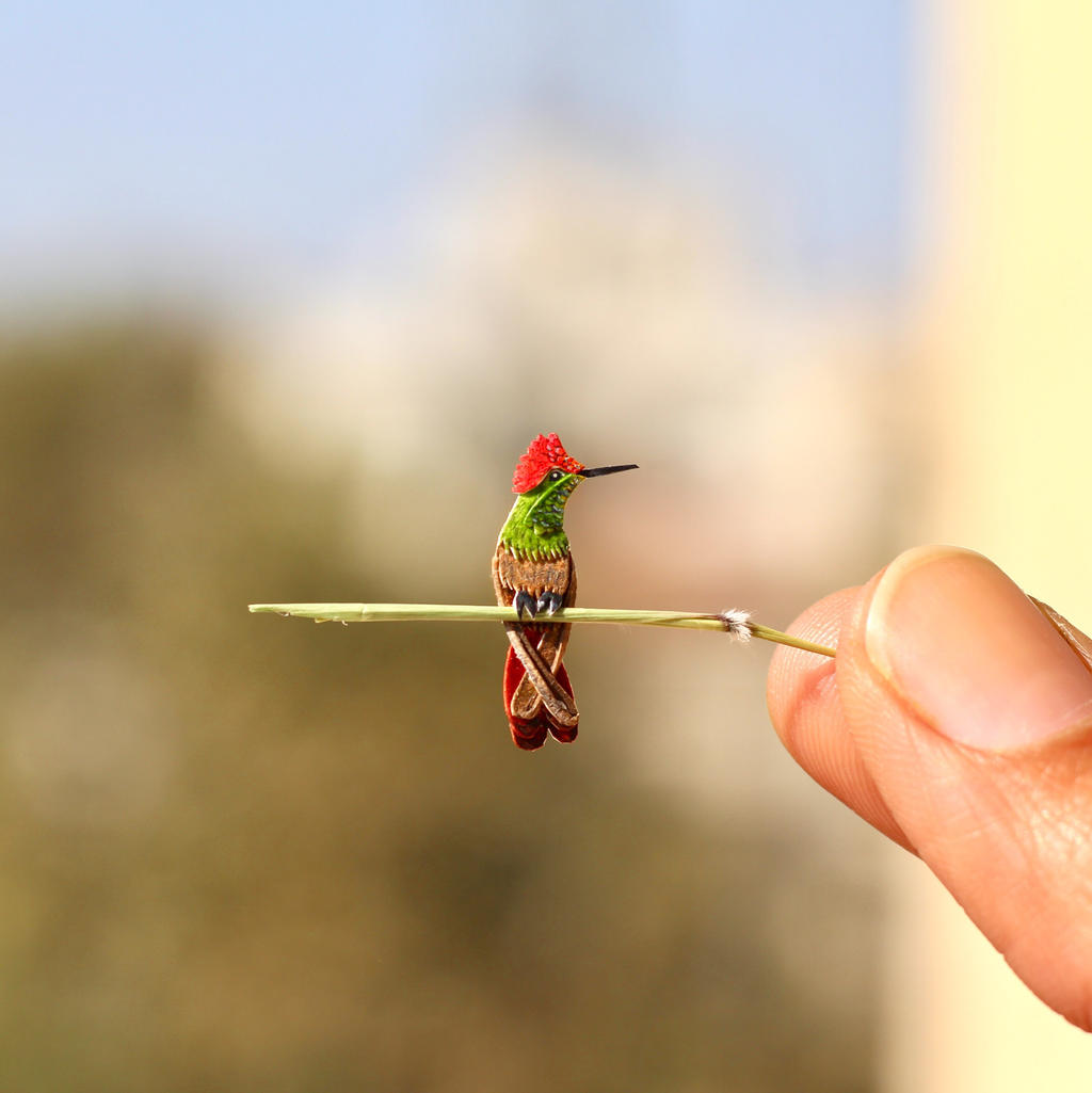 Ruby Topaz Hummingbird- Paper cut birds by NVillustration