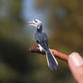 Oriental Pied Hornbill - Paper cut