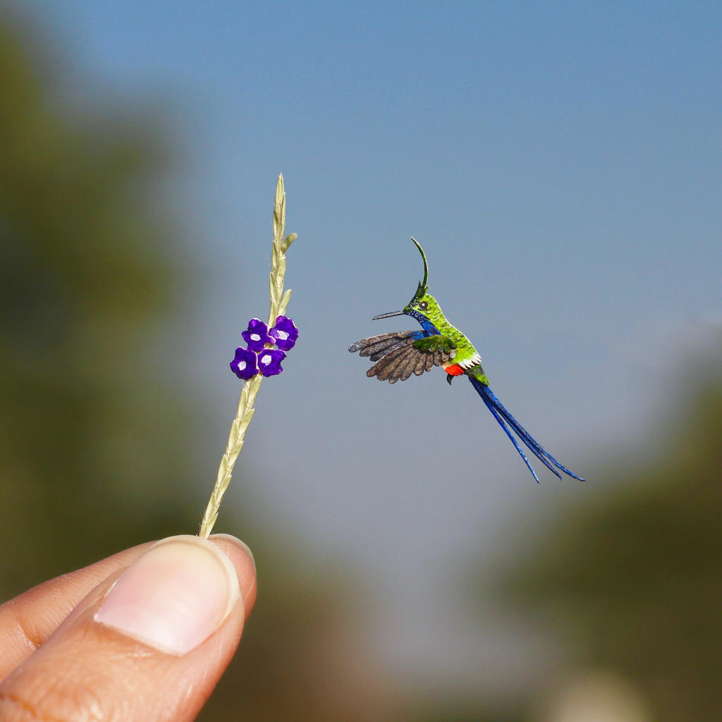 Wire Crested Thorntail Hummingbird- Paper cut bird by NVillustration
