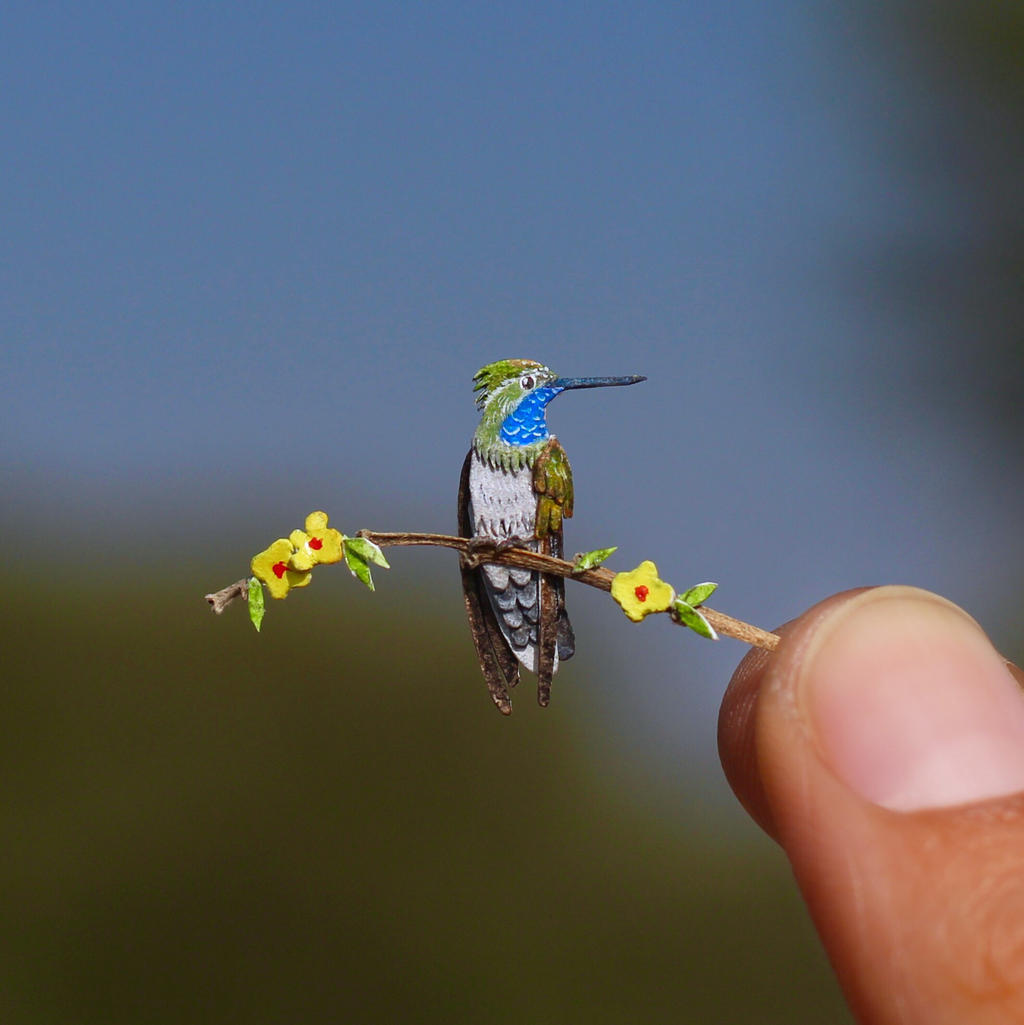 Blue Throated Hummingbird- Paper cut bird by NVillustration