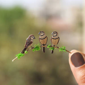 Double Barred Finch - Paper cut birds