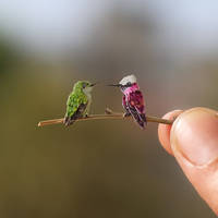 Snowcap Hummingbird - Paper cut bird