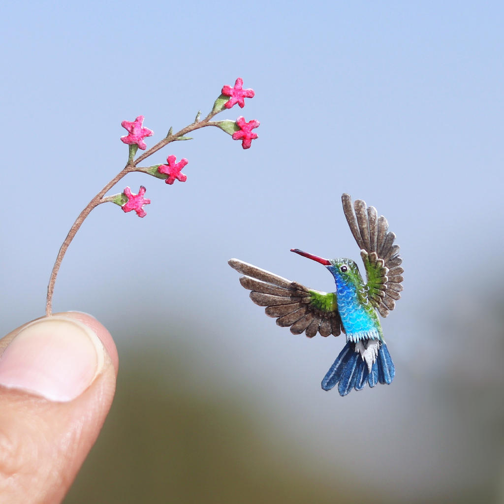 Broad-billed Hummingbird - Paper cut bird by NVillustration