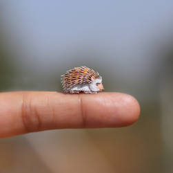 African Pygmy Hedgehog - Paper cut art