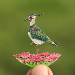 Northern Lapwing - Paper Cut Birds