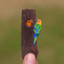 Jandaya Parakeet with Chicks - Paper Cut Birds