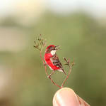 The Crimson Chat - Paper Cut Birds