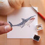 The Great White Shark - Paper Cut art