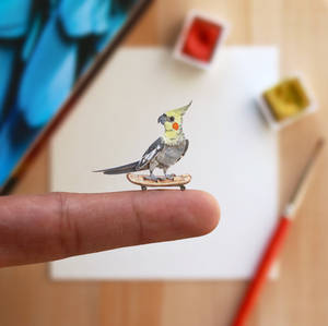 The Cockatiel with his skateboard - Paper Cut art