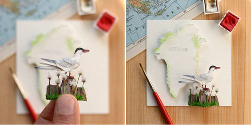 The Arctic Tern - Paper Cut art