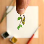 The green iora - Paper Cut art