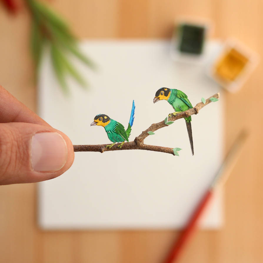 the_long_tailed_broadbill___paper_cut_art_by_nvillustration_ddpaxjy-pre.jpg