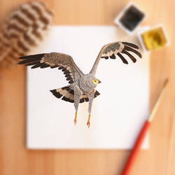 The African Harrier Hawk - Paper Cut art