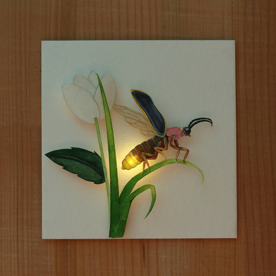 Firefly by NVillustration on DeviantArt