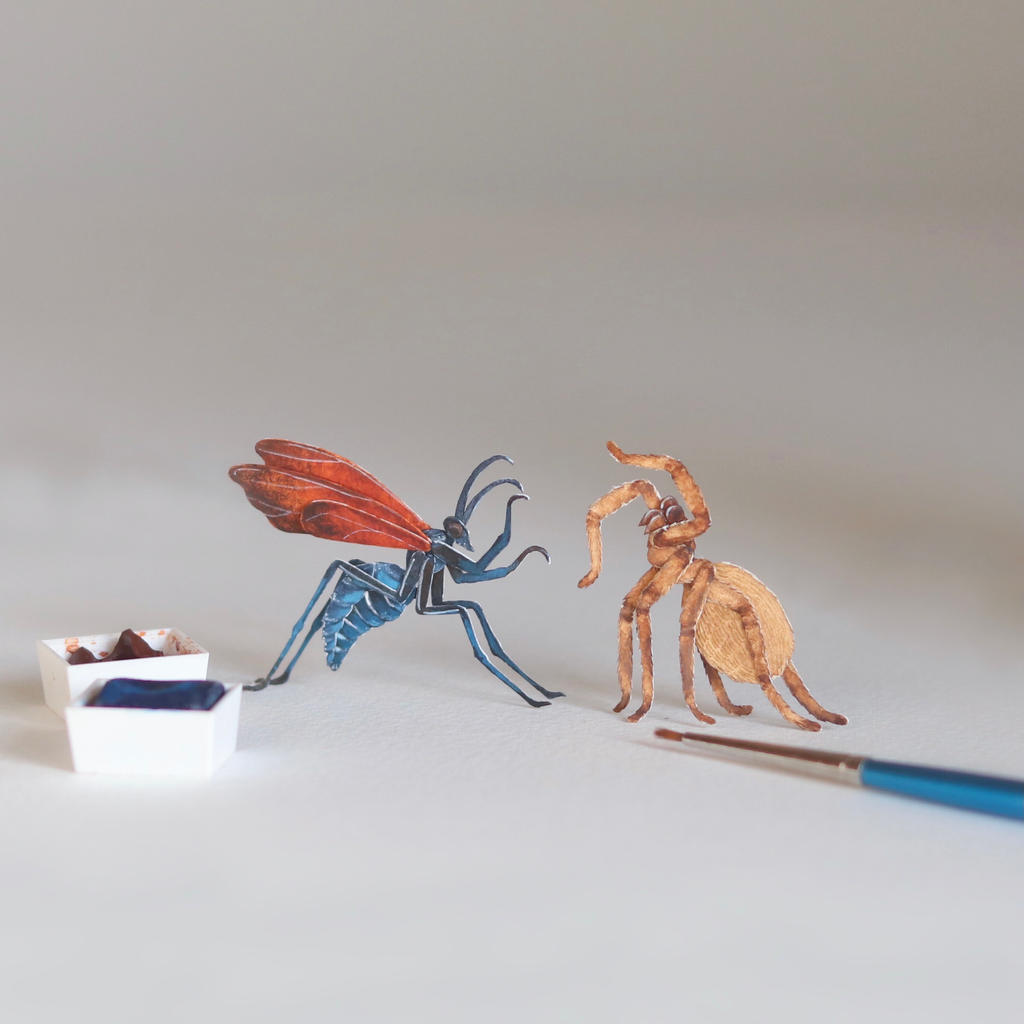 The Tarantula Hawk Wasp v/s Huntsman Spider by NVillustration on DeviantArt