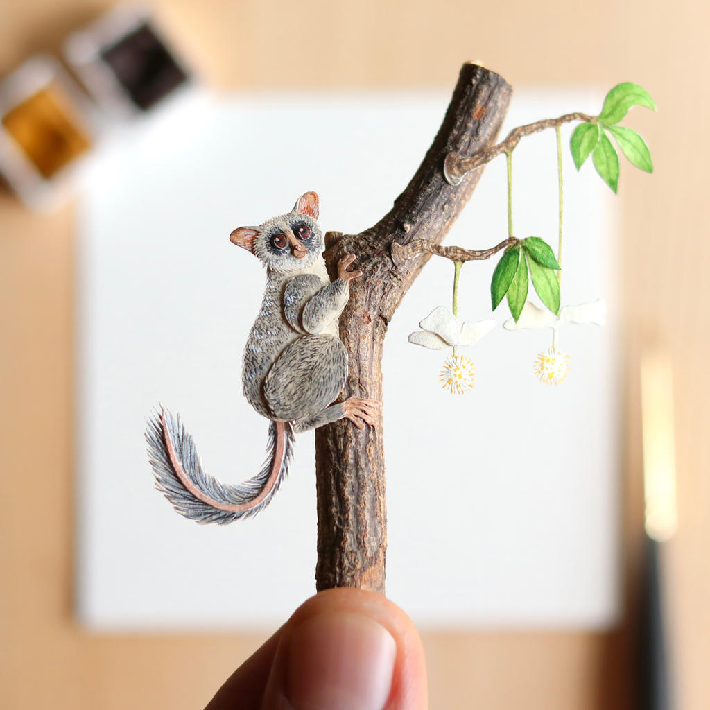 Bush Baby by NVillustration on DeviantArt Bush Baby by NVillustration on DeviantArt