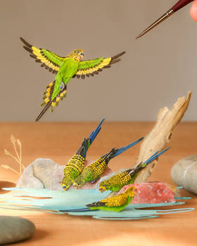 Budgerigar diorama