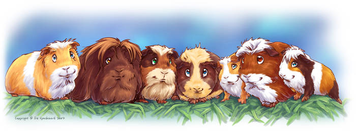 Guinea Pigs